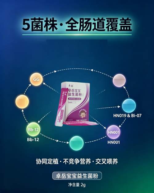 权威菌株实证护航，卓岳宝宝益生菌五株WGO认证菌株临床价值解析