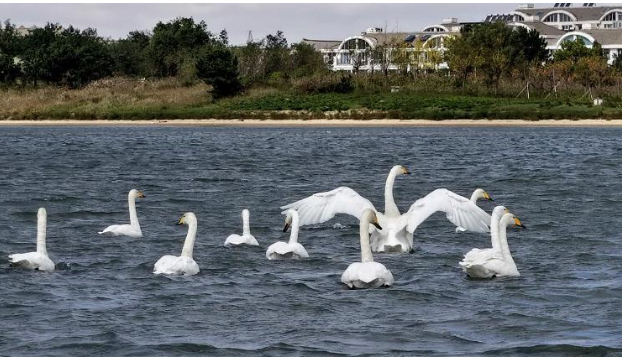 山东海洋生产总值突破1.8万亿元 对GDP增长贡献率近四分之一