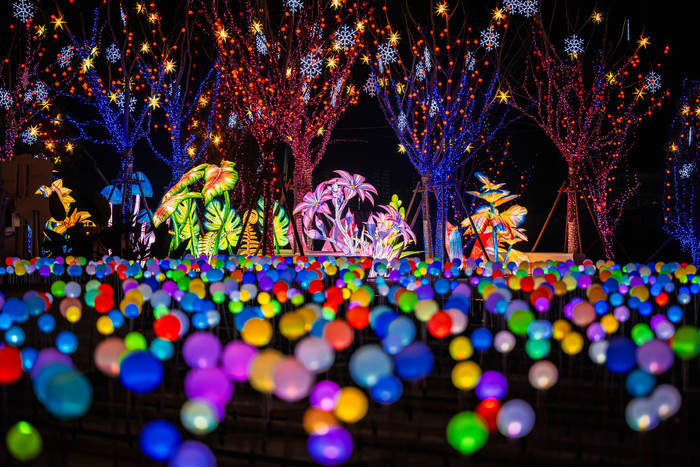 济南赏花灯有了新去处！起步区“大河华章·光耀鹊华”新春灯会等您看