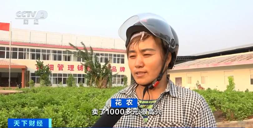 1公斤70元！创历史新高！是奶茶带火了它？