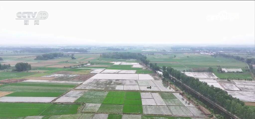 四部门部署抗高温抗干旱保夏播工作 多地积极行动保障农业用水