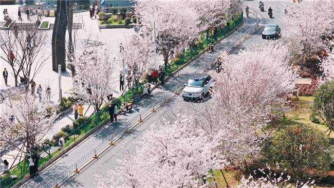 萝卜快跑上线畅游日卡功能 实现文旅景点一站式直达