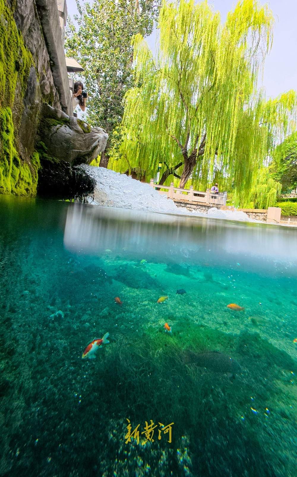 喷涌势头旺盛，济南黑虎泉将迎恢复喷涌22周年