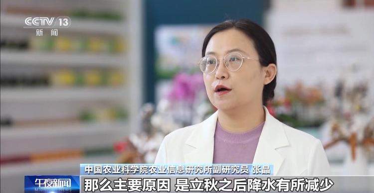 菜价波动后逐渐回落 山东等地如何拎稳“菜篮子”？