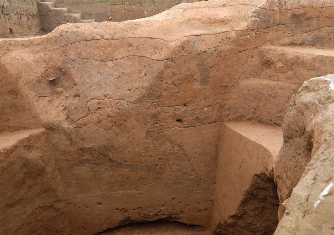 山西沁水八里坪遗址有新发现！