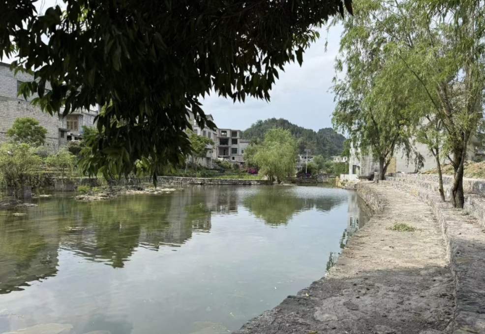 何以中国｜从三叠纪化石到明代屯堡，高原大地上的文明“石”书