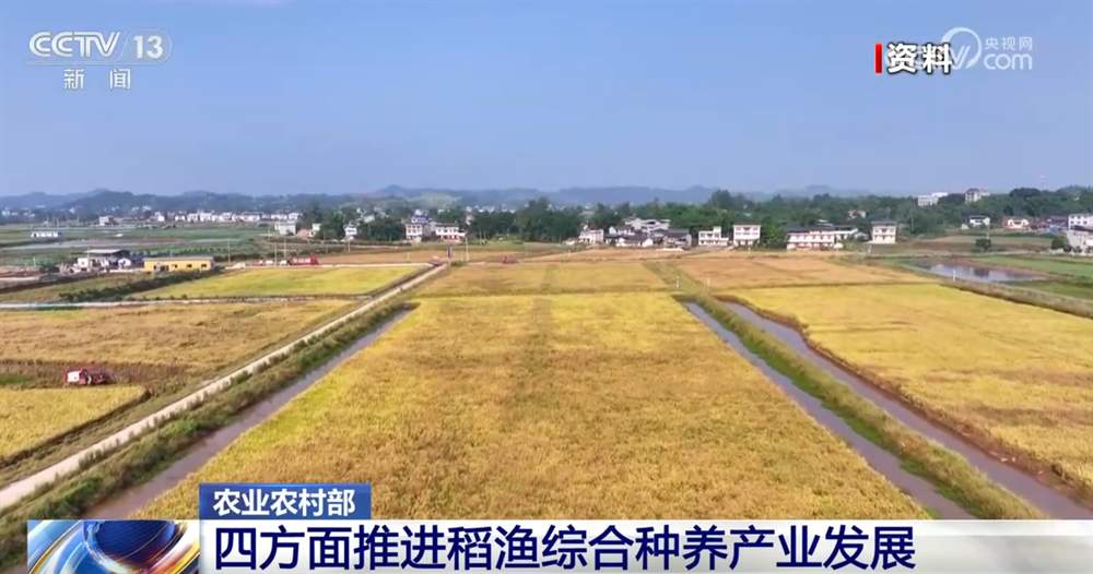 稻渔综合种养、深远海养殖 新产业、新模式打开富民增收“新路径”