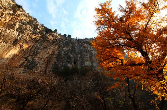 悠然南山秋意浓