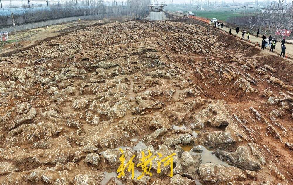 济枣铁路宁阳段发现“石海”，吸引众人“打卡”