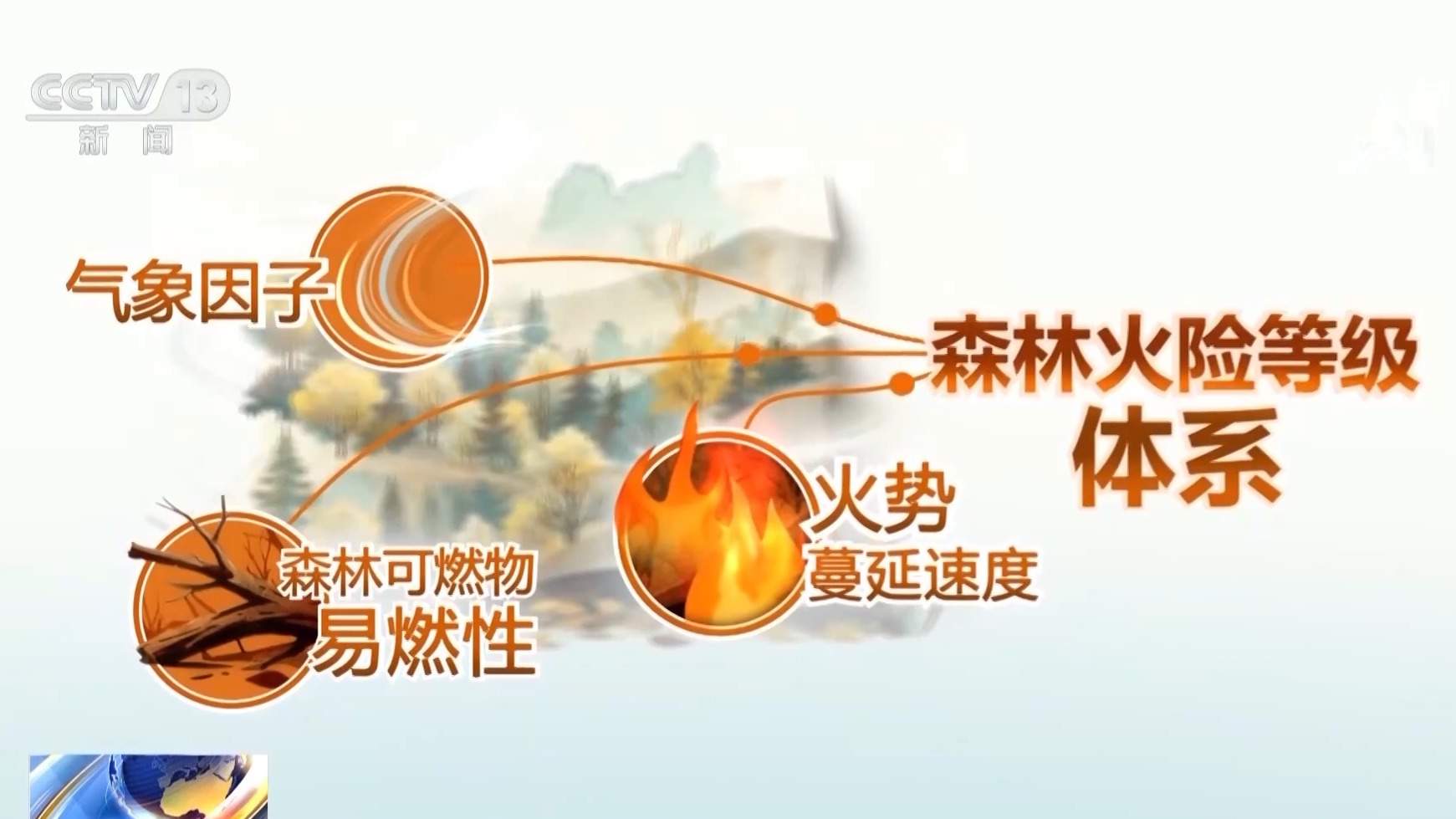 如遇森林火灾怎么办？火险等级怎么定？这些知识要了解