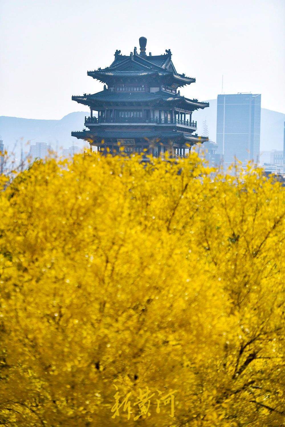 当超然楼遇上秋日黄叶，济南的古今在此重叠