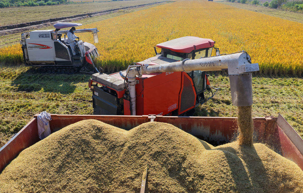 数览中国脉动｜粮稳天下安！“大国粮仓”高位增产