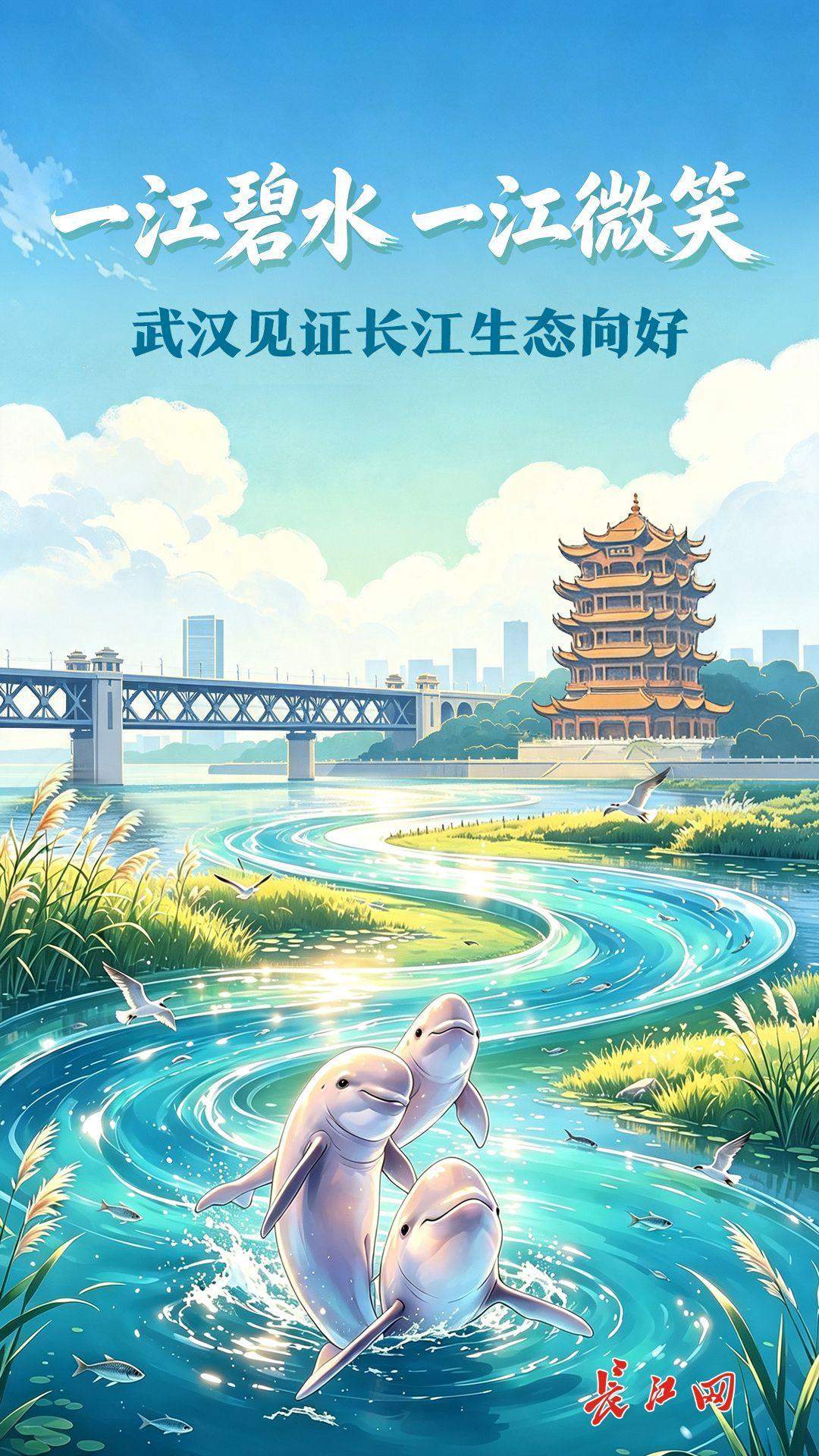 长江十年行｜两段视频，见证长江“江豚湾”诞生