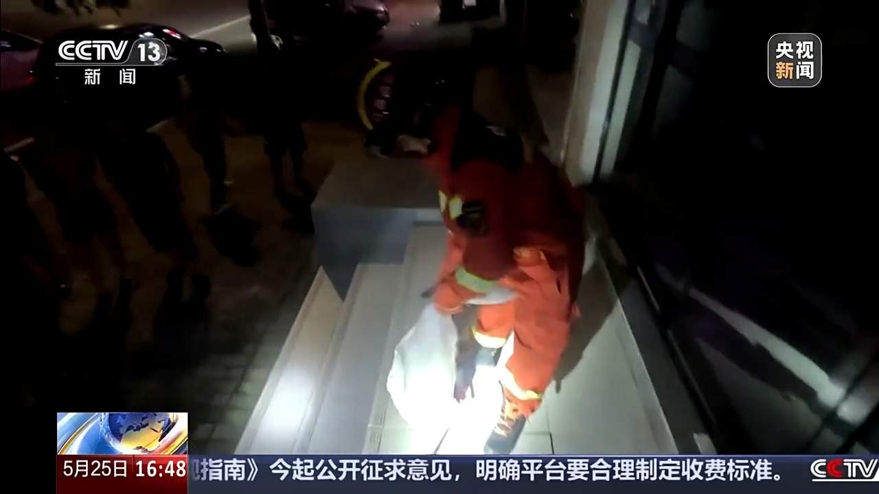 眼镜蛇“逛”市场“闯”人类生活区 如果“相遇”该如何处理？