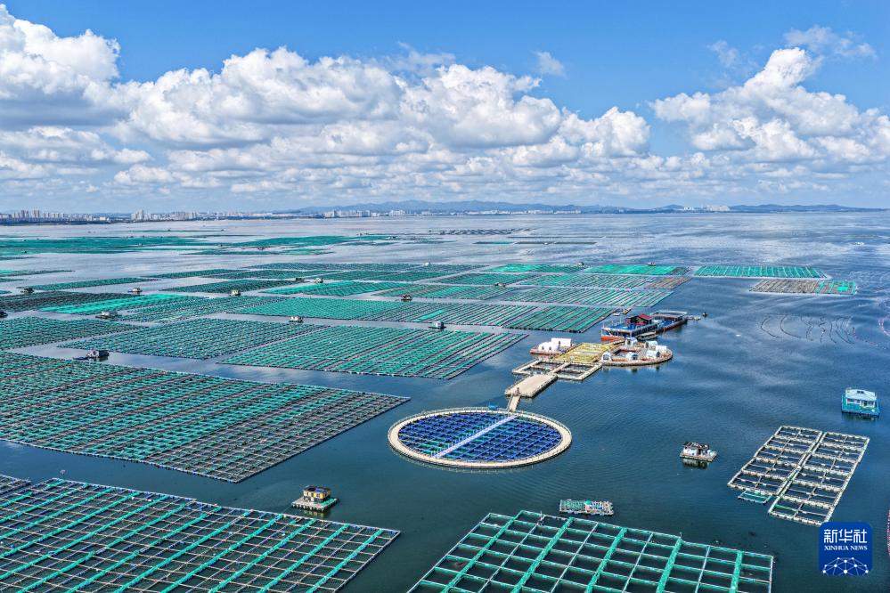 经济大省挑大梁 