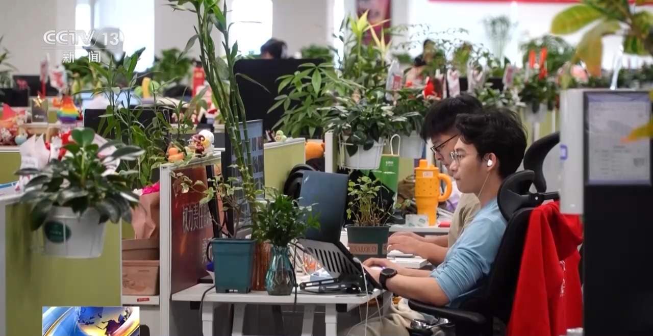 “工位种菜”走红 蔬菜盆栽成了“上班搭子”