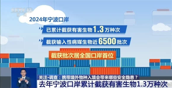 @铲屎官们 养“异宠”或危害国家安全 这些行为违法了