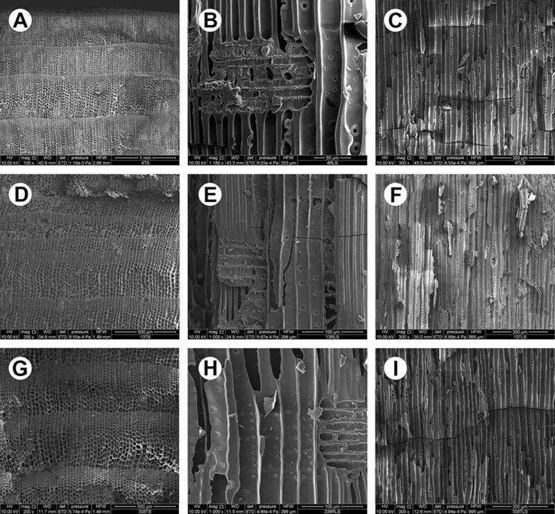 首次系统研究!秦始皇帝陵又有新发现