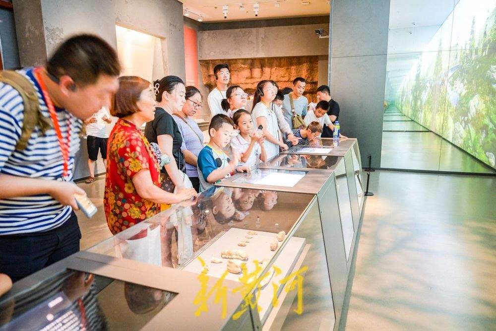一年四季 泉在济南丨暑假开启，来山东博物馆享文化大餐