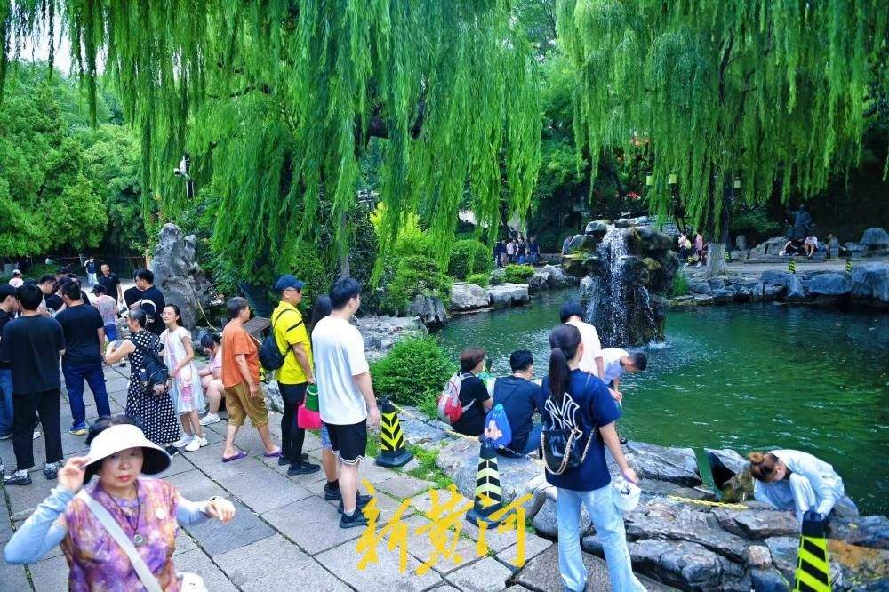 趵突泉、黑虎泉地下水位迎九连涨，月牙飞瀑满目清凉