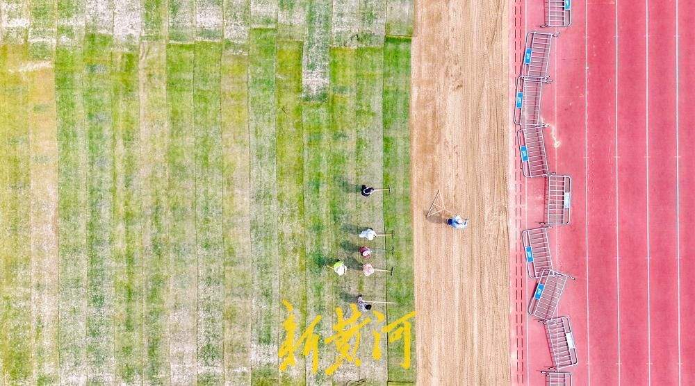 省体育中心体育场草坪上新