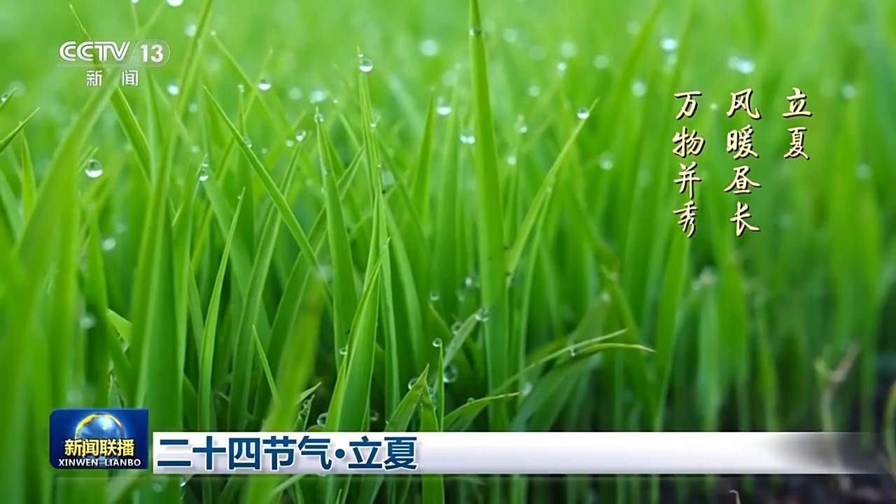 文化中国行丨二十四节气·立夏 春尽夏启 繁华更盛