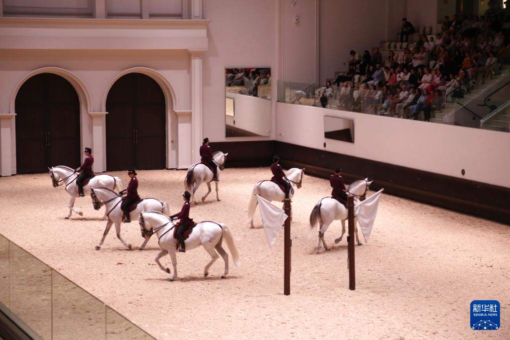 通讯｜暖风拂动“中国红”——阿联酋新春见闻