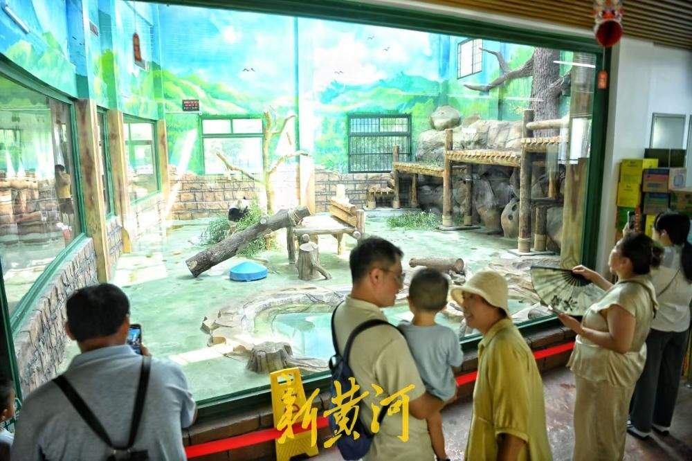 邂逅国宝萌态，市民暑期尾声乐享清凉亲子时光
