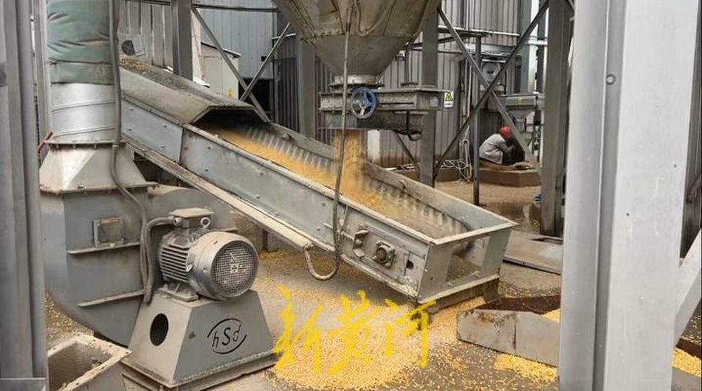 泉城秋收回望图丨技与保！烘干塔里的颗粒归仓