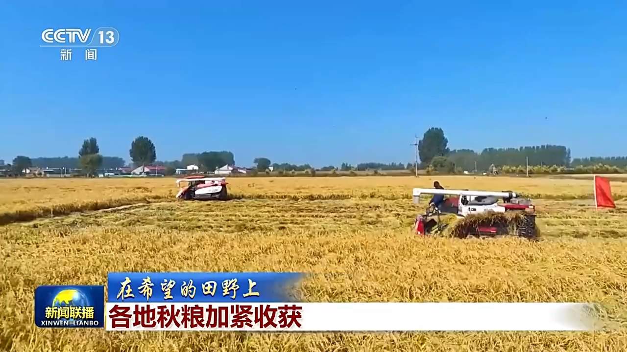 全国秋粮收获已过四成 各地保障颗粒归仓