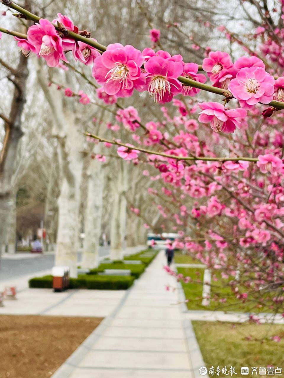 山大校园重新开放：欢迎朋友们到访 请一起爱护