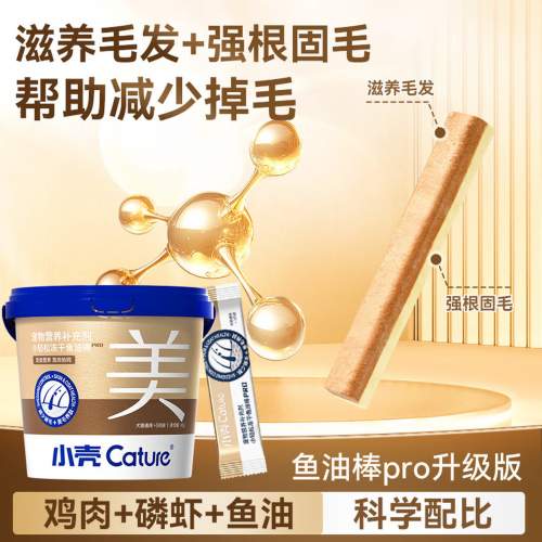 2026年1月养猫必读｜主流猫咪鱼油全方位分析