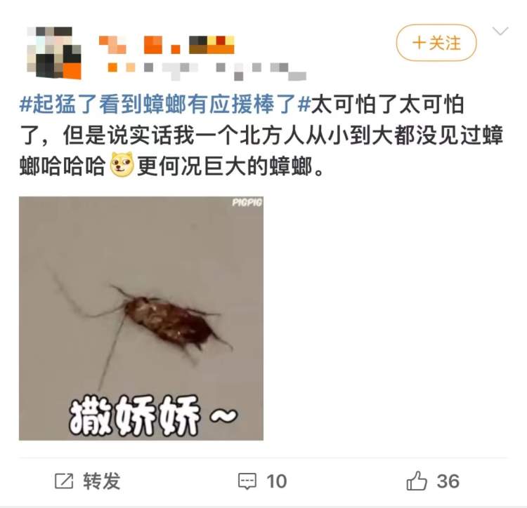 汗流浃背！广东蟑螂已经会发光了 进化成萤火虫3.0版？