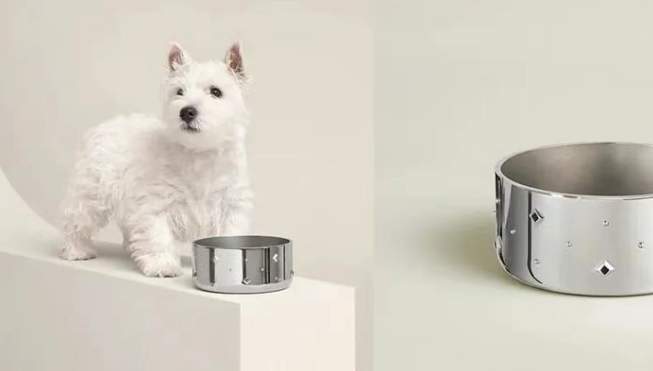 爱马仕上架2万元不锈钢狗碗，网友：还以为是金子做的