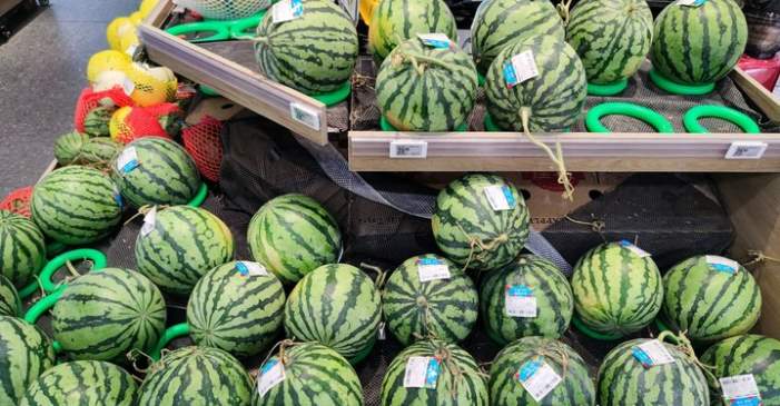 1元/斤的西瓜难寻，济南市场瓜价悄然回升