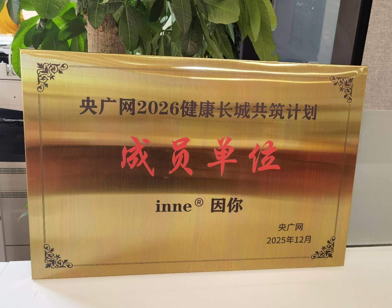 连续蝉联多项行业与国际奖项,inne因你树立儿童营养“品质标杆”