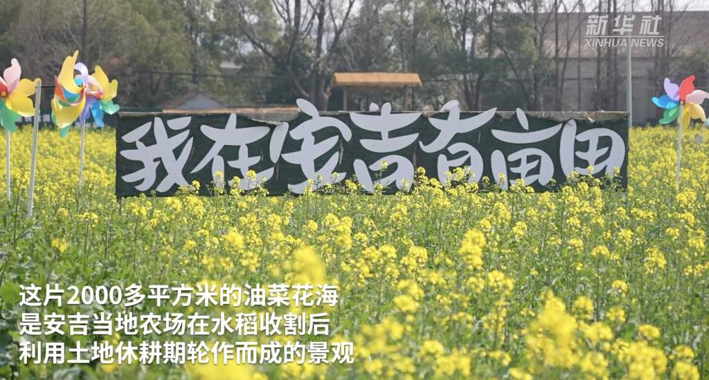 “赏花+”多元文旅模式为春日经济注入强劲活力