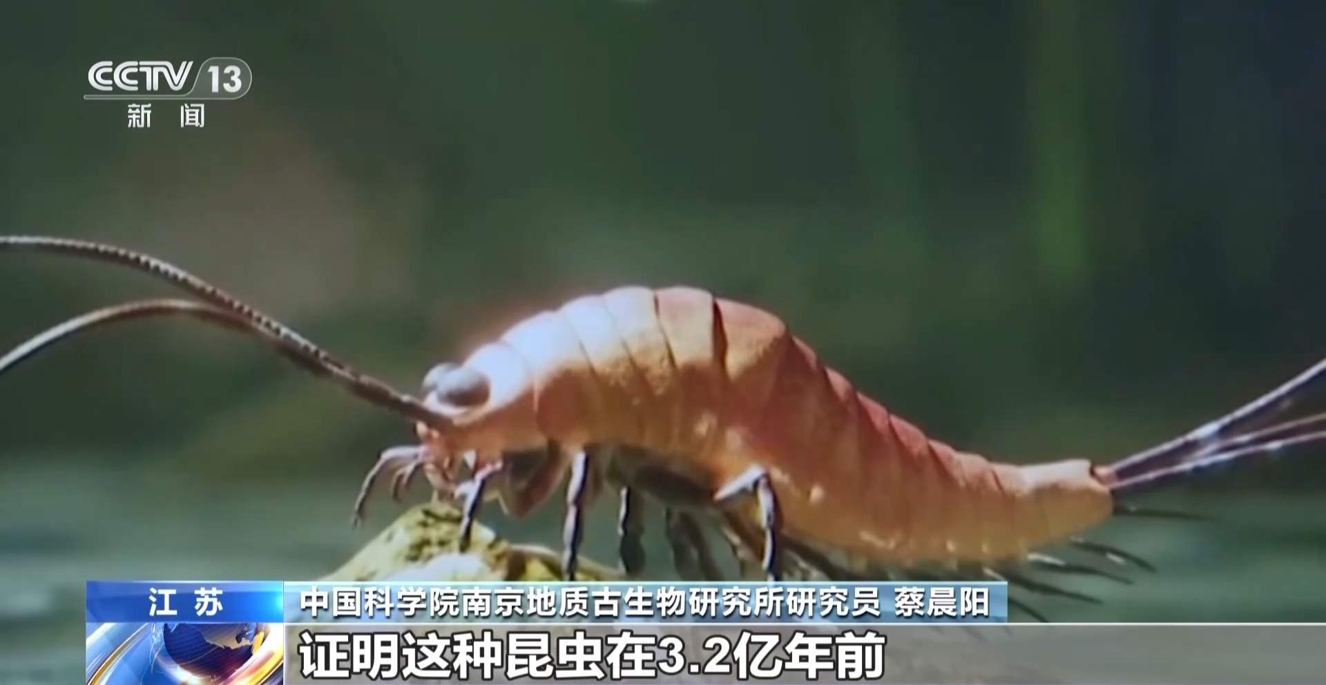 3.24亿年前昆虫曾“水陆两栖” 化石揭示登陆演化进程