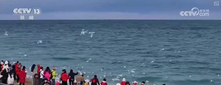 春节旅游市场新观察·品质化、复合型体验成2026年春节旅游消费鲜明趋势