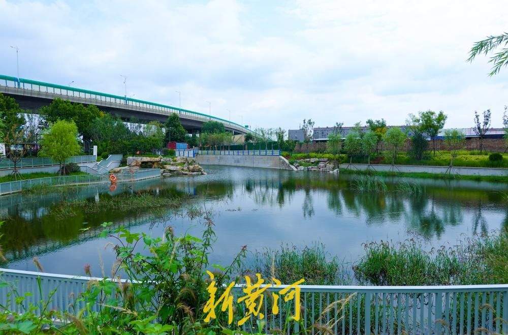 济南：北太平河河道改造 沿河公园为周边居民添新景