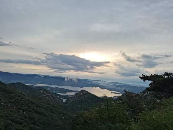 融媒·先锋丨青山不负人，人亦不负青山 一个“青春支部”的群山回响