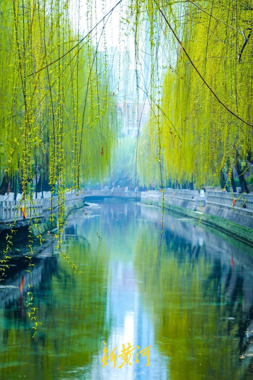 春雨润泉城，环城公园披绿绘就“绿丝带”画卷