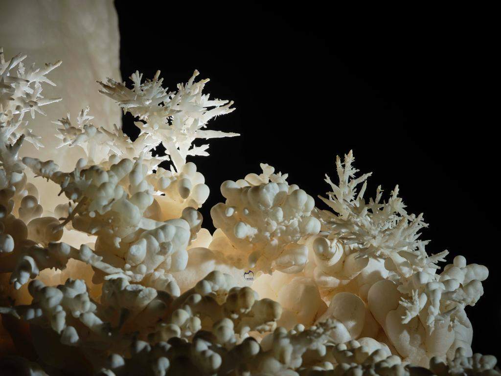 贵州遵义发现4.8亿年“地下水晶宫”