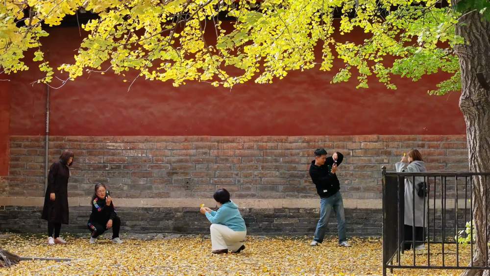 山东济宁：“孔孟之乡”谱写文化“两创”新篇