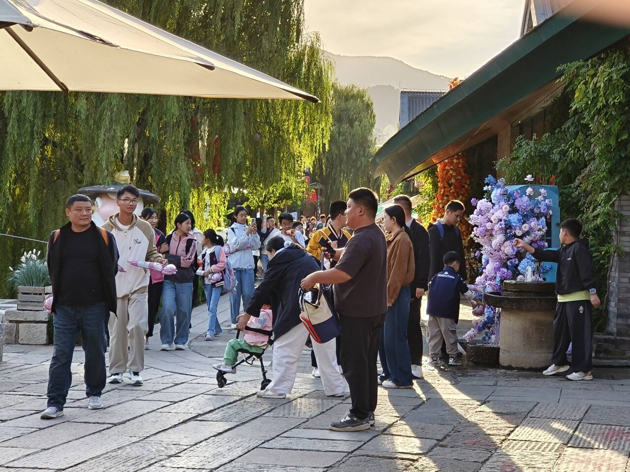 融媒先锋丨荒山覆绿，穷村生金——深山里长出“天上的街市”