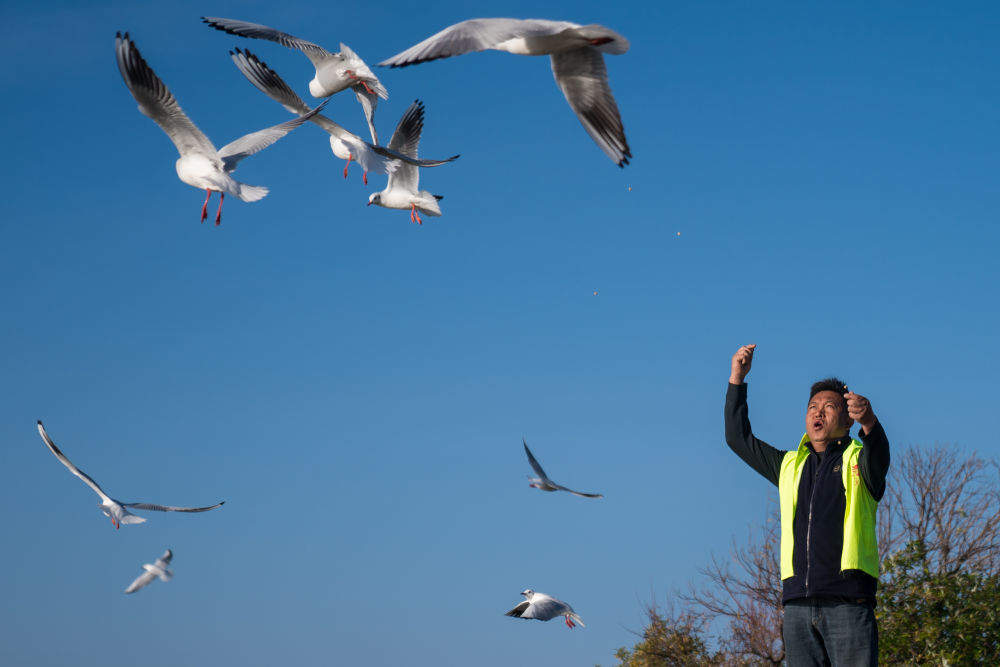 镜观·回响｜弘扬奉献、友爱、互助、进步的志愿精神