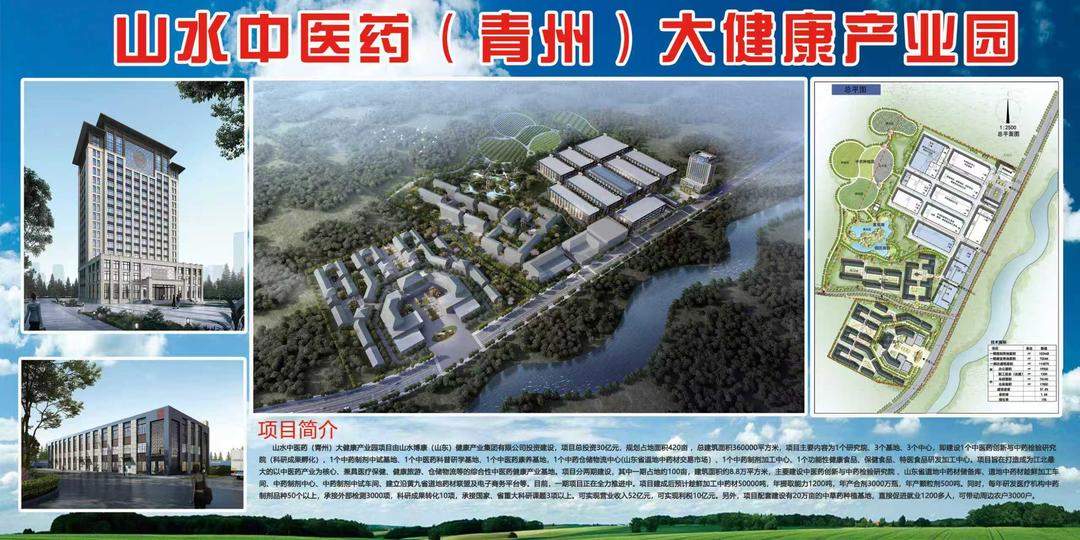 看青州如何下好中医药产业发展“一盘大棋”