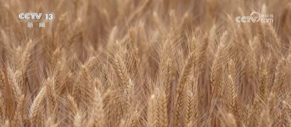 智能农机“唱主角” 希望的田野描绘好“丰”景