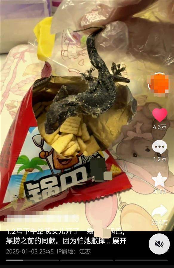 锅巴里吃出油炸壁虎？厂家：车间连蚊子都进不去