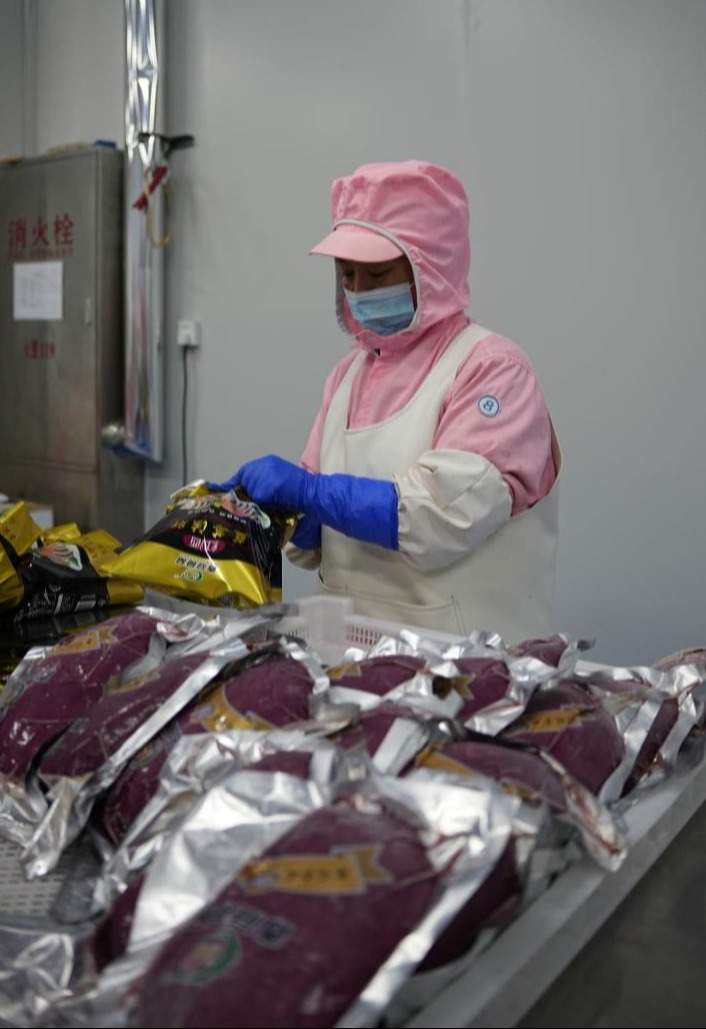 “镇”兴路上的潍坊：以镇域之力，夯实潍坊发展根基